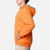 Men Collegiate Flanker™ Fleece Hoodie – Clemson