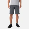 Men Silver Ridge™ Cargo Shorts