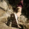 Women Newton Nimble™ LTR Shoe
